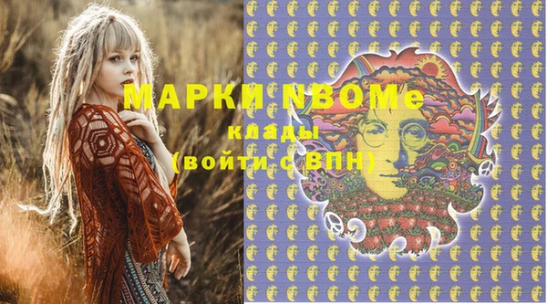 шишки Бронницы